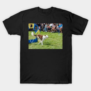 Dog jumping T-Shirt